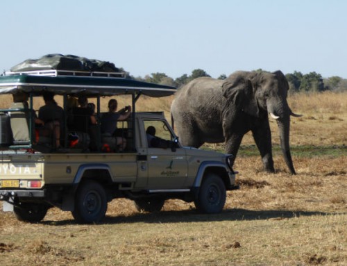 Private Botswana Tours