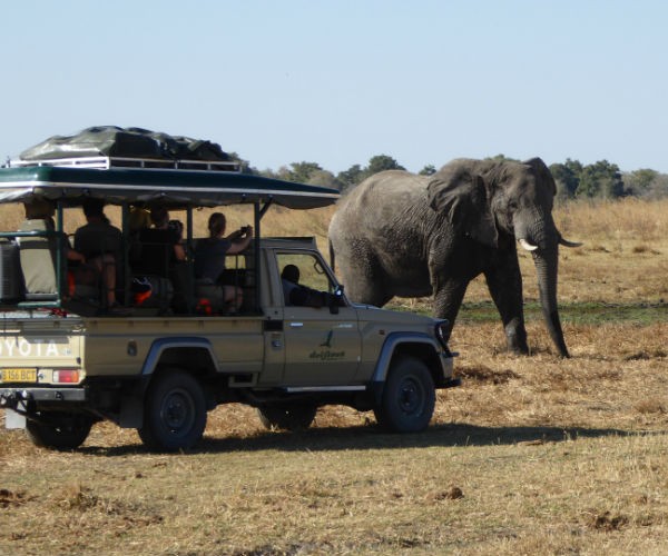 Private Botswana Tours